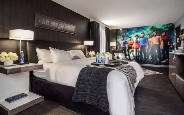 Final Frontier Hyperthemed Double room