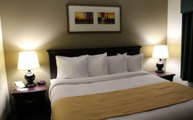 Superior Suite