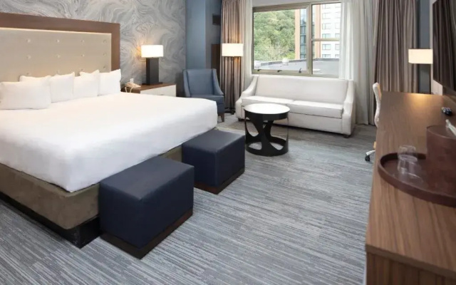 Deluxe Mountain Room