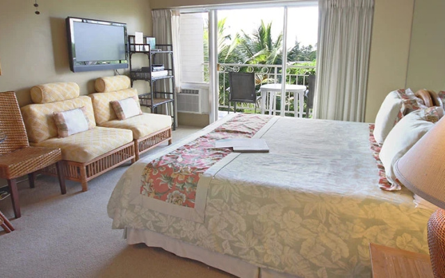 Deluxe Studio with park view