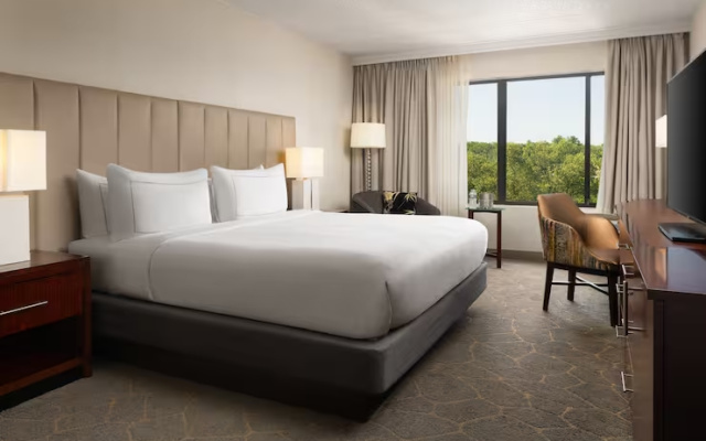 Double room