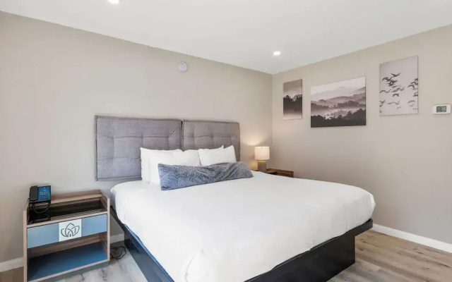 Executive Double Suite