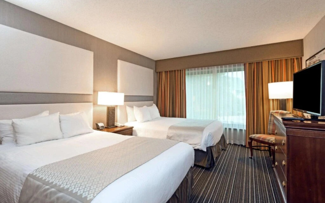 1 Bedroom Quadruple Suite
