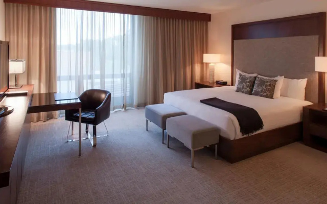 1 Bedroom Partner Double Suite
