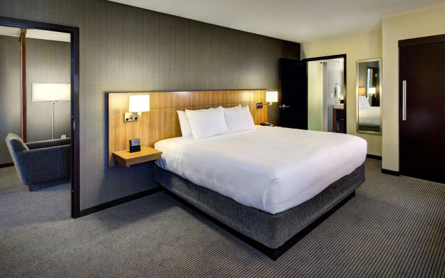 1 Bedroom Accessible Roll-In Shower Double Suite