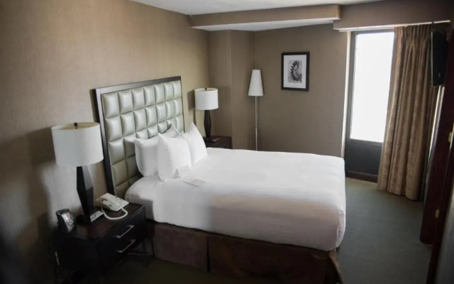 Large Double Suite