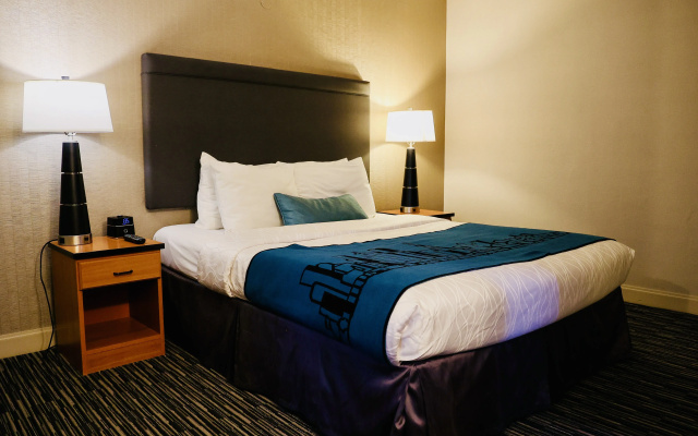 Executive Double Suite