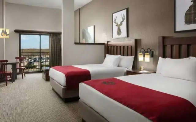 Grand Bear Suite