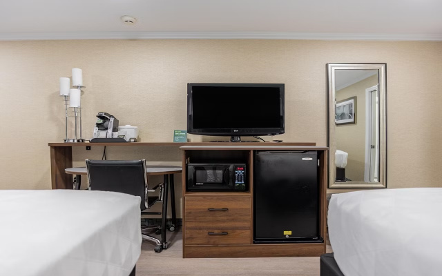 Standard No Window Quadruple room