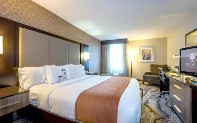 Hearing Accessible Double room