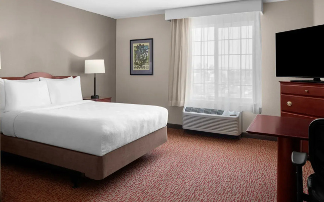 Double Studio Suite