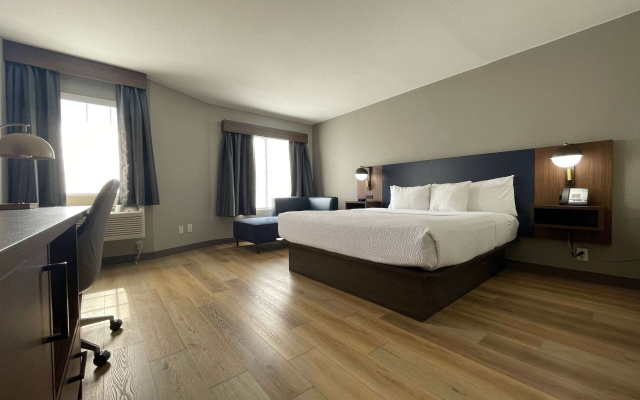 Double room Courtyard Access
