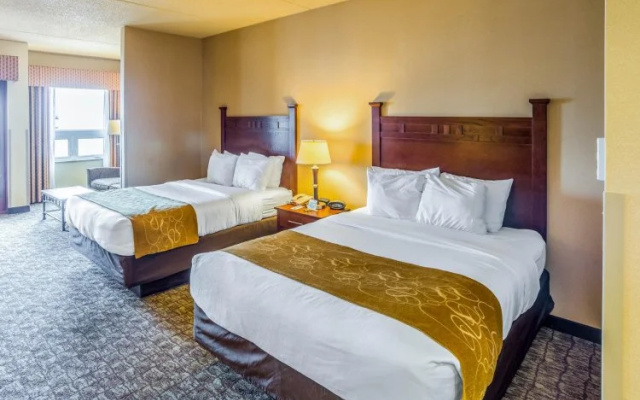 Twin Suite
