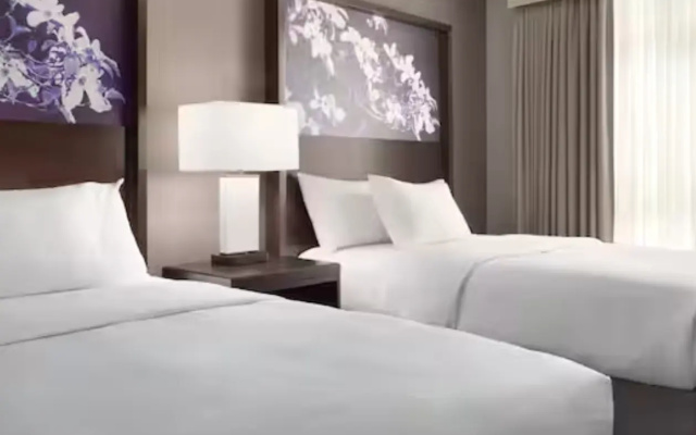 2 rooms Quadruple Suite