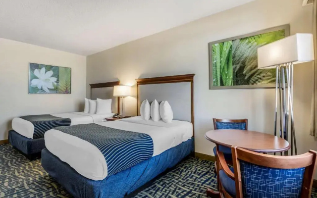 Quadruple room oceanfront