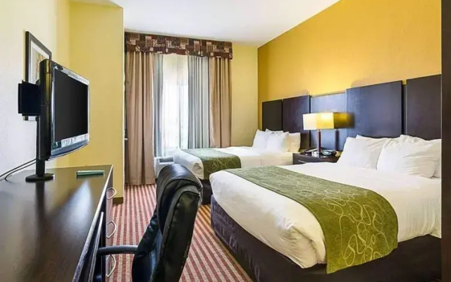 Twin Studio Suite