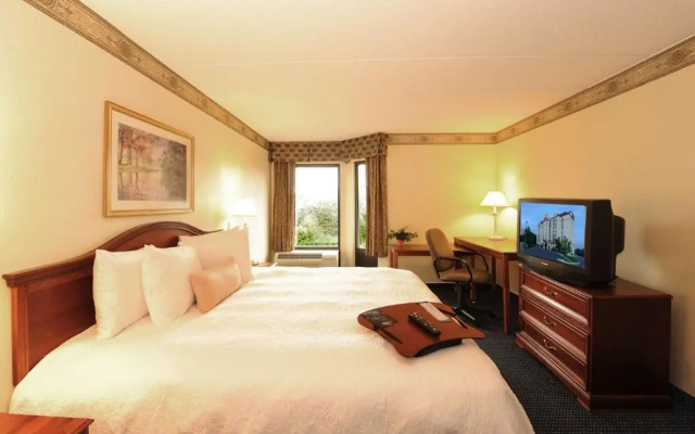 1 Bedroom With Kitchen Suite