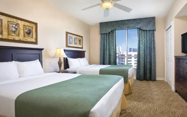 1 Bedroom Visual Assist Suite