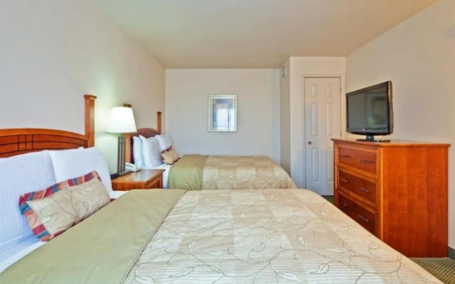 Twin Suite