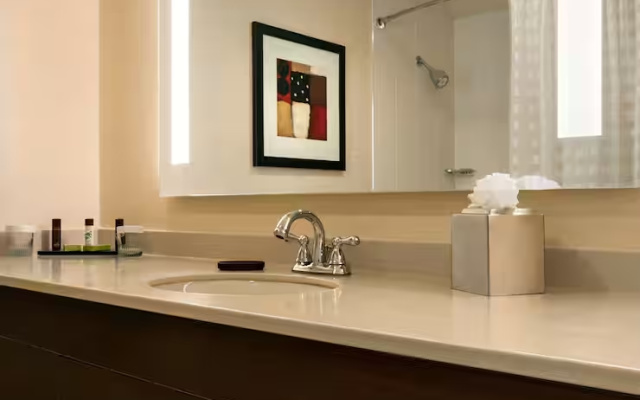 1 Bedroom Suite