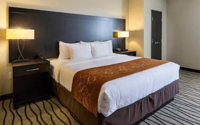 1 Bedroom Suite