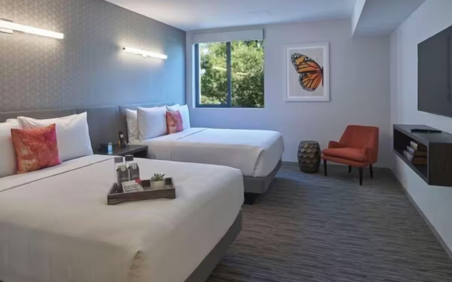 Monarch room