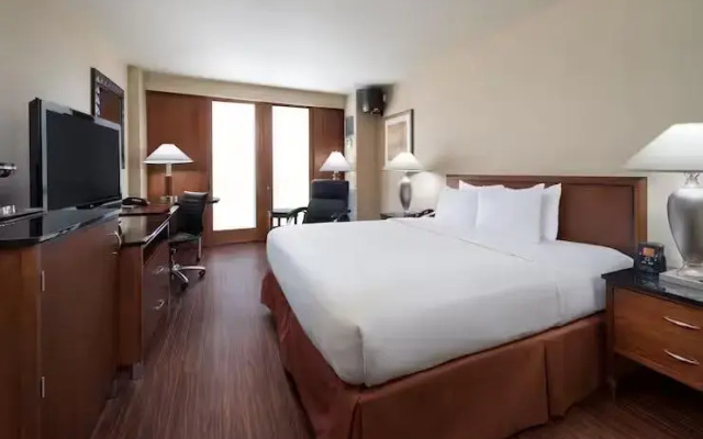 Allergy Friendly Double room
