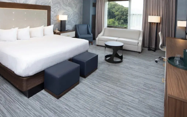 Premium Mountain Room