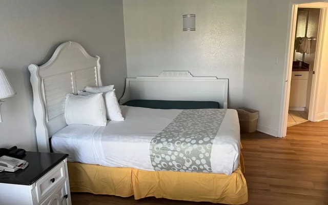 2 Rooms Refurbished Suite