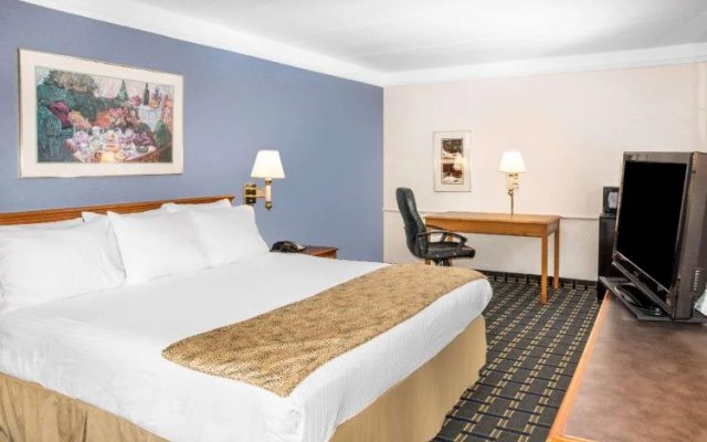 Mobility Accessible Double room