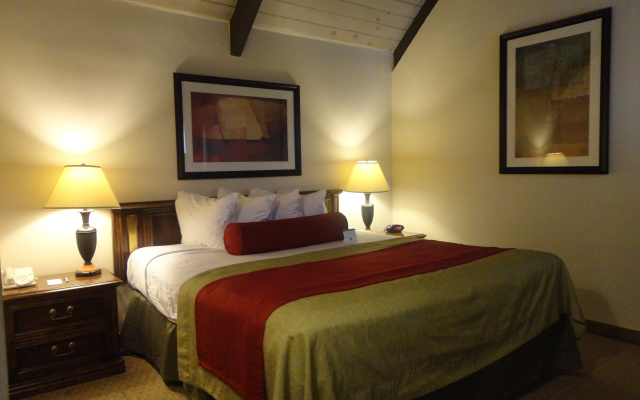 Double Suite