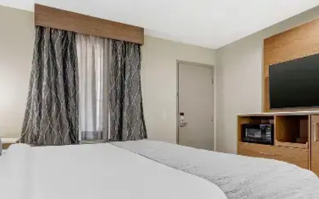 Pet Friendly Double room