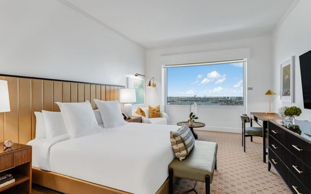 Executive Suite