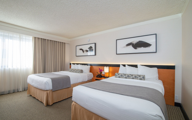 Accessible Twin room