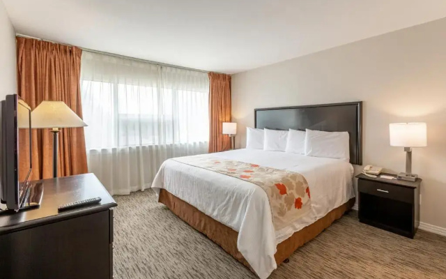 Accessible Double Suite