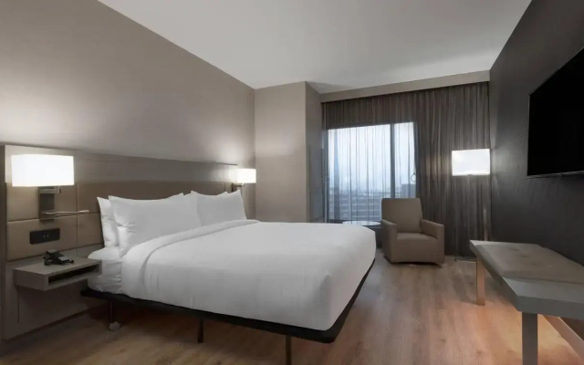 1 Bedroom Double Suite