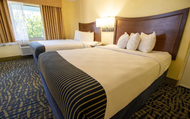 Pet Friendly Quadruple room