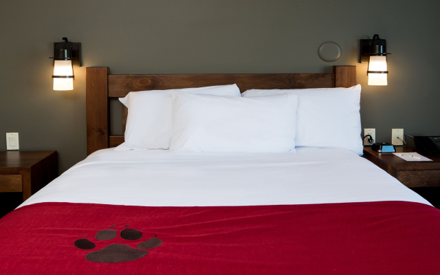 Northwoods Sextuple Suite