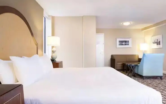 Double Junior Suite with river view