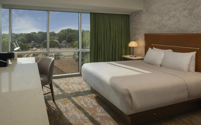 Double Junior Suite