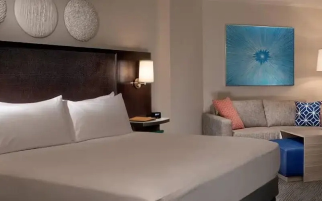1 Bedroom Suite