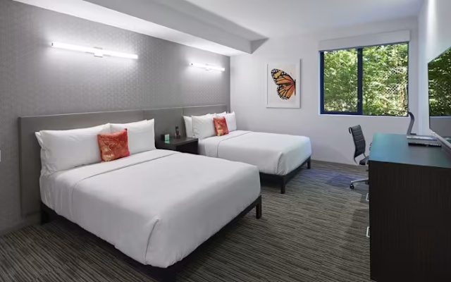 Monarch ADA room