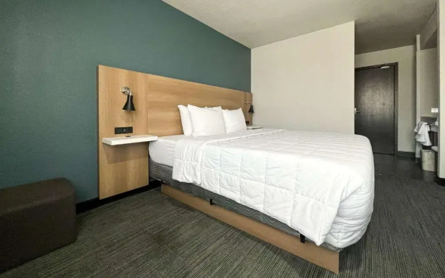 1 Bedroom Suite