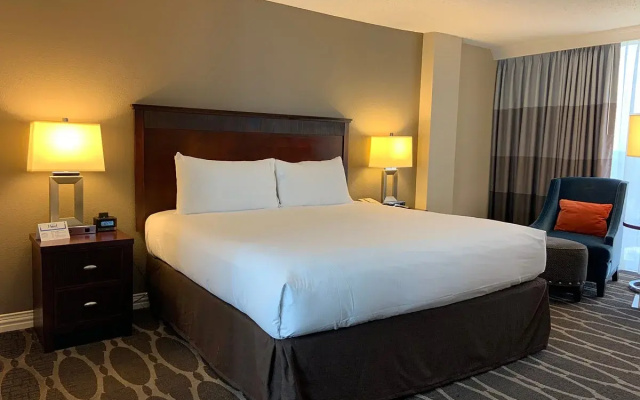 Allergy Free Quadruple Guest room