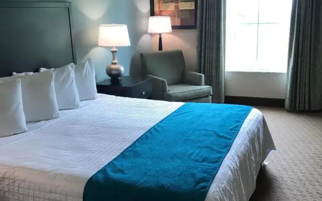 1 Bedroom Suite