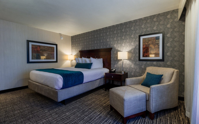 Executive Double Suite