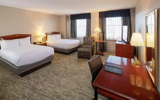 Netherland Suite
