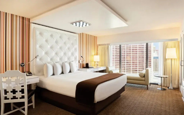 Executive Double Go room
