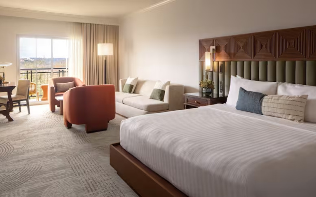 Double Junior Suite with balcony and with pool view