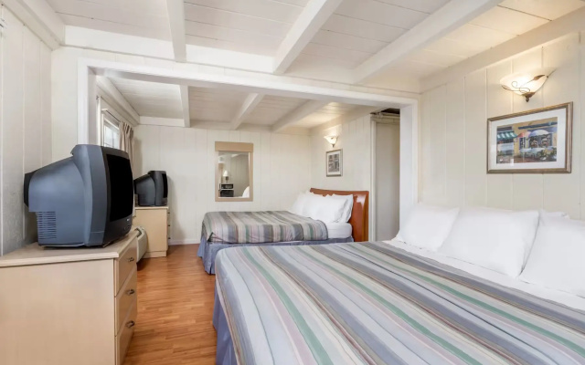 Twin Studio Suite